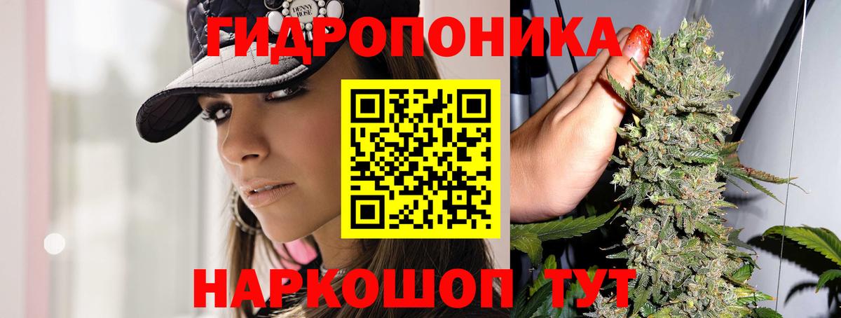 Бошки Шишки OG Kush  Каннабис ГИДРОПОН  Чистополь  Вход с VPN 
